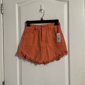 NWT Pacsun Skirt